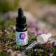 Ecopets Dog&Cat LESNÍ KAPKA-Sérum proti klíšťatům 10ml