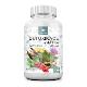 Allnature Detoxikace bylinný extrakt 60cps