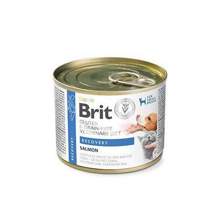 Brit VD Dog+Cat GF konz Recovery 200g