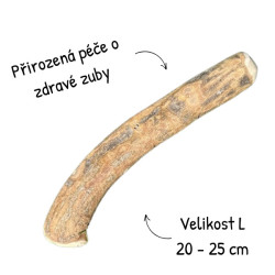 Olivové dřevo pro psa L