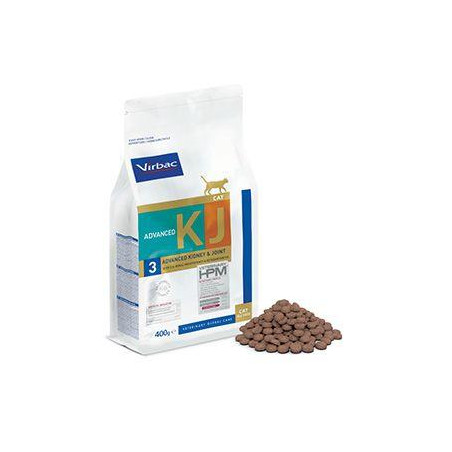 VET HPM Cat Advanced Kidney & Joint 400g