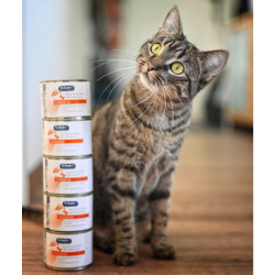 Dr.Clauder´s Cat konz. Intestinal Diet 200g