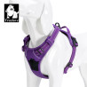 Postroj Reflex Active Outdoor pro psy fialový S 43-56
