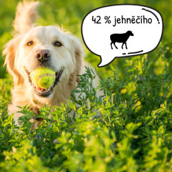 Calibra Dog Life Junior Small&Medium Breed Lamb 12kg