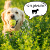 Calibra Dog Life Junior Small&Medium Breed Lamb 12kg