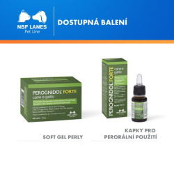 Perognidol Forte pro psy a kočky 40kps