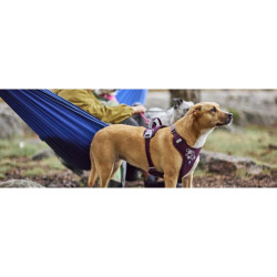 Postroj Hurtta Weekend Warrior II ECO lilkový 75-100