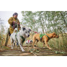 Postroj Hurtta Weekend Warrior II ECO petrželov 75-100