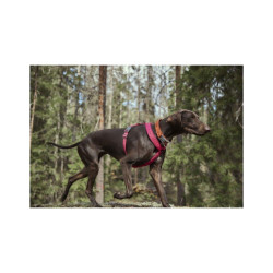 Postroj Y Hurtta Casual ECO rubínový 30-35cm