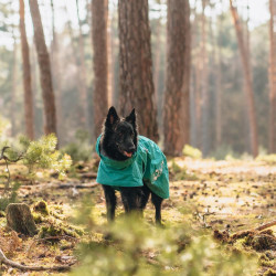 Obleček Hurtta Monsoon coat II ECO paví zeleň 45XS