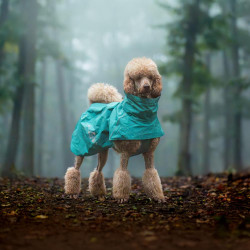 Obleček Hurtta Monsoon coat II ECO paví zeleň 60