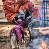 Obleček Hurtta Mudventure Coat ECO skořicový 45