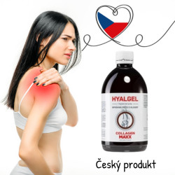Hyalgel Colagen MAXX na klouby vánoční balíček 2x500ml