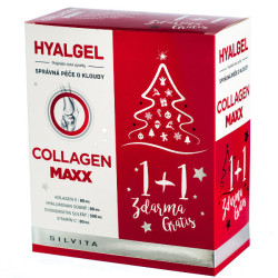 Hyalgel Colagen MAXX na klouby vánoční balíček 2x500ml