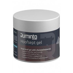Hoofsept gel 400g + štětec