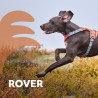 Postroj Hurtta Rover skořicový 75-95