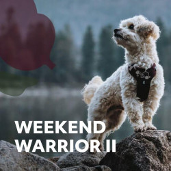 Postroj Hurtta Weekend Warrior II ECO lilkový 65-80