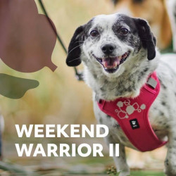 Postroj Hurtta Weekend Warrior II ECO  rubínový 65-80