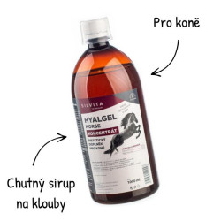 Hyalgel Horse konc. 1l