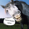 Hyalgel Horse konc. 1l