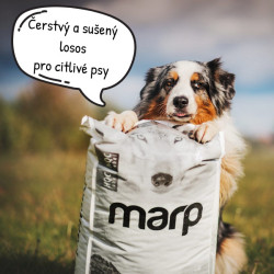 Marp Holistic Salmon ALS Grain Free 18kg