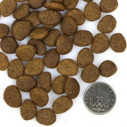 Marp Holistic Salmon ALS Grain Free 12kg