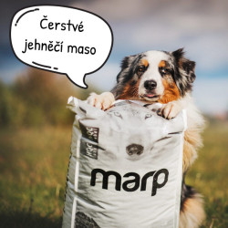 Marp Holistic Lamb ALS Grain Free 12kg