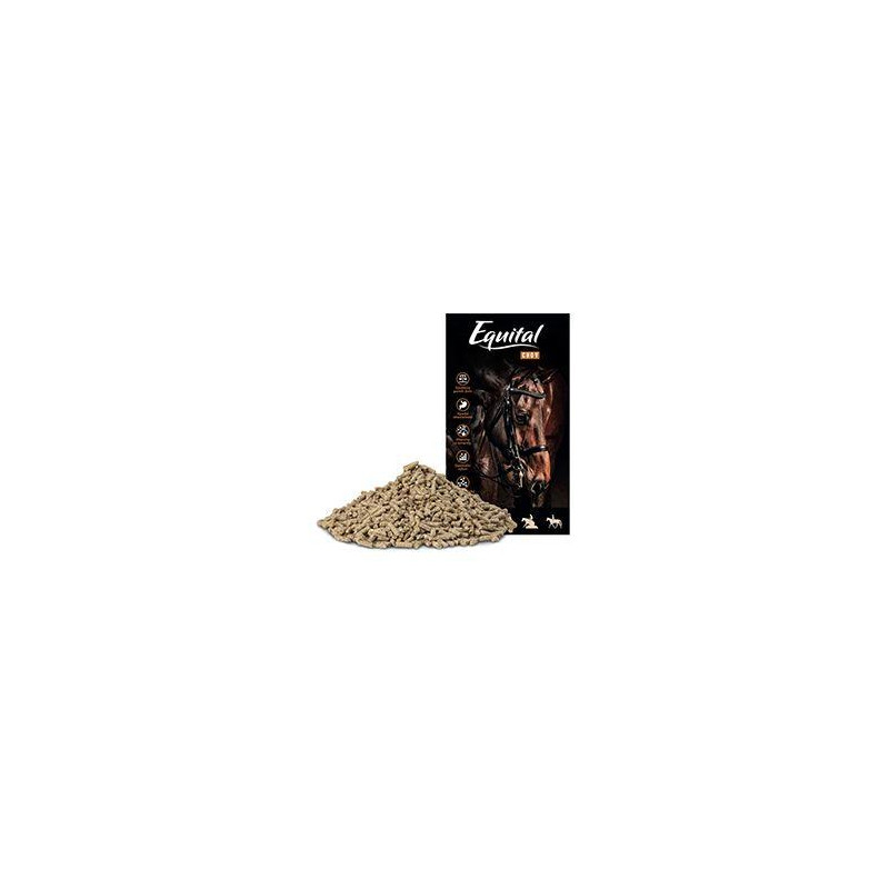 Equital Chov pro koně 25kg