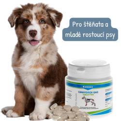 Canina Canhydrox GAG 60tbl. (100g)