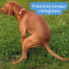 Canvit Probio pro psy 100g plv.