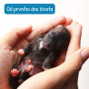 Eminent Dog Puppy Milk 2kg