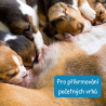 Eminent Dog Puppy Milk 2kg
