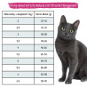 Vet Life Natural CAT Struvite Management 10kg