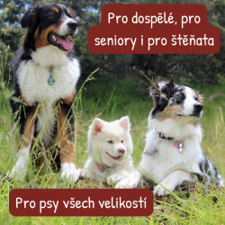 Probican pasta 15ml