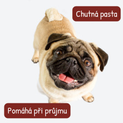 Probican pasta 15ml