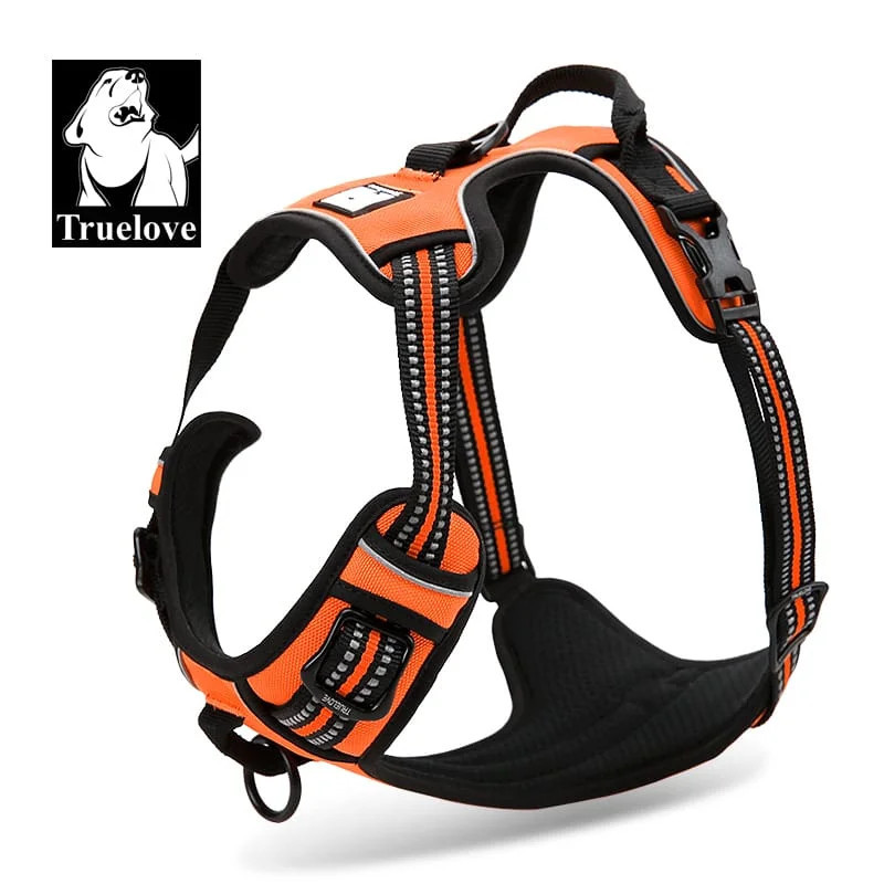 Postroj Reflex Active Outdoor pro psy oranžový S 43-56