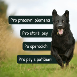 VetriScience VetriFlex podpora kloubů psi