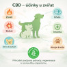 CBD Konopný olej pro zvířata 2% 10ml