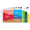 Eminent Dog Puppy Large 15kg