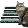 VetriScience Renal Ess. Feline podp.ledvin kočka 144g