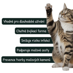 VetriScience UT Strenght podp.moč cest kočka 90g