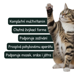 VetriScience Nu-Cat potr.doplněk kočky 37,5g