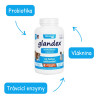 Glandex Powder 155g