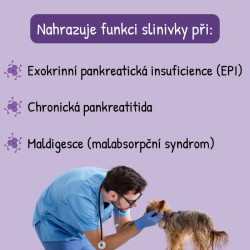 VetaPremium PANCREOSOMAL Chronic 30 sáčků