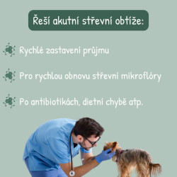 VetaPremium EPISOMAL IN 30 sáčků