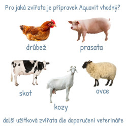 Aquavit AD3E 1l