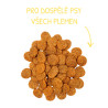 Profine Dog Dry Adult Chicken 12kg