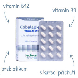 Protexin Cobalaplex pre psov a mačky 60cps