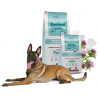 Eminent VET Diet Dog Hepatic 2,5kg