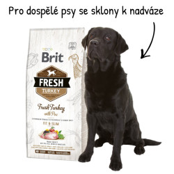 Brit Dog Fresh Turkey & Pea Light Fit & Slim 12kg